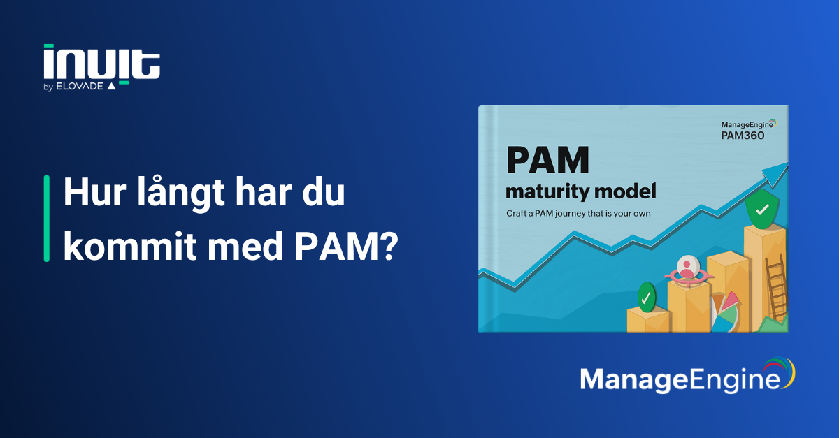 Pam Tier Model Examples Privileged Access Management (PAM) Maturity Model